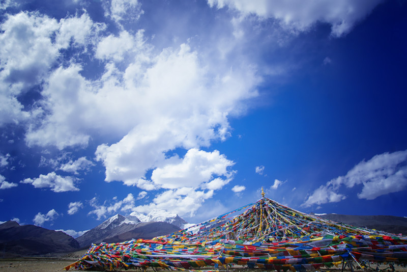 西藏舆情特点和意义是什么？西藏舆情监测市场介绍