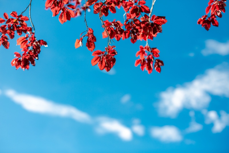 新闻中的容易引发舆情的点位有哪些？