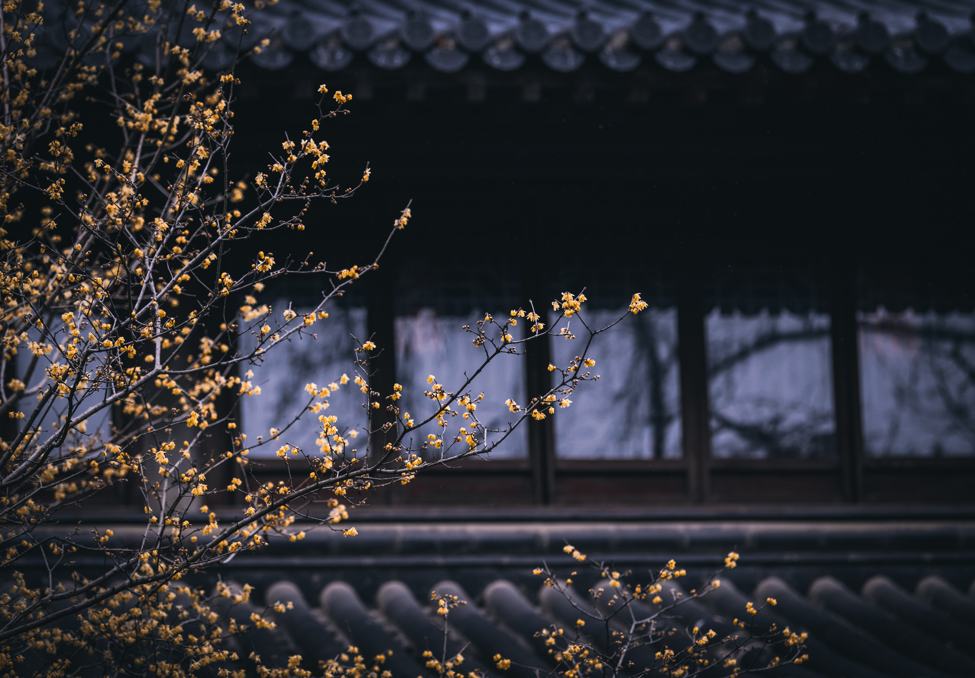 如何做好医药保健行业舆情监测？ 