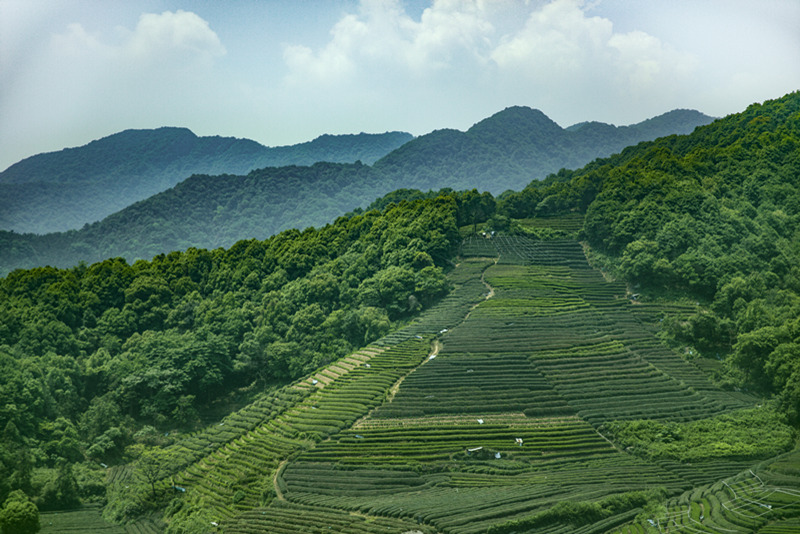 舆情监测分析系统🛰️