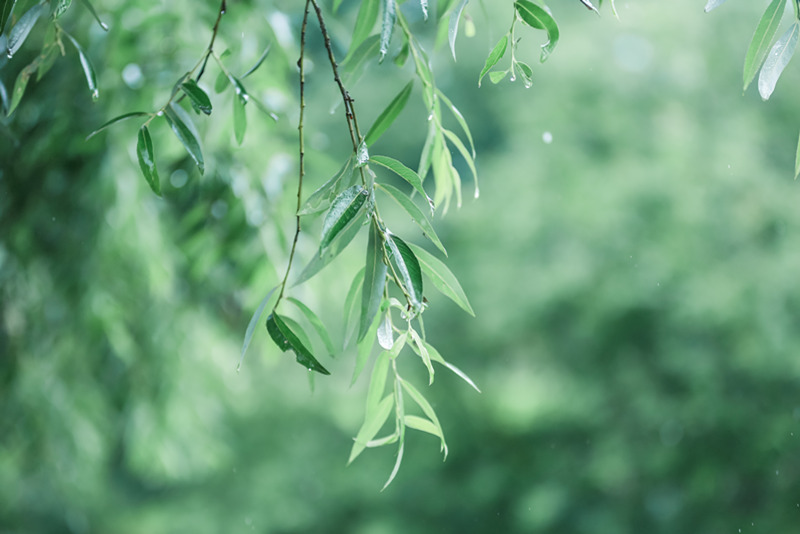 舆情监测分析平台需求🌻