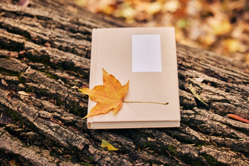 正面舆情对舆论引导的积极意义 