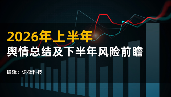 2026上半年重点舆情总结及下半年舆情前瞻和风控报告