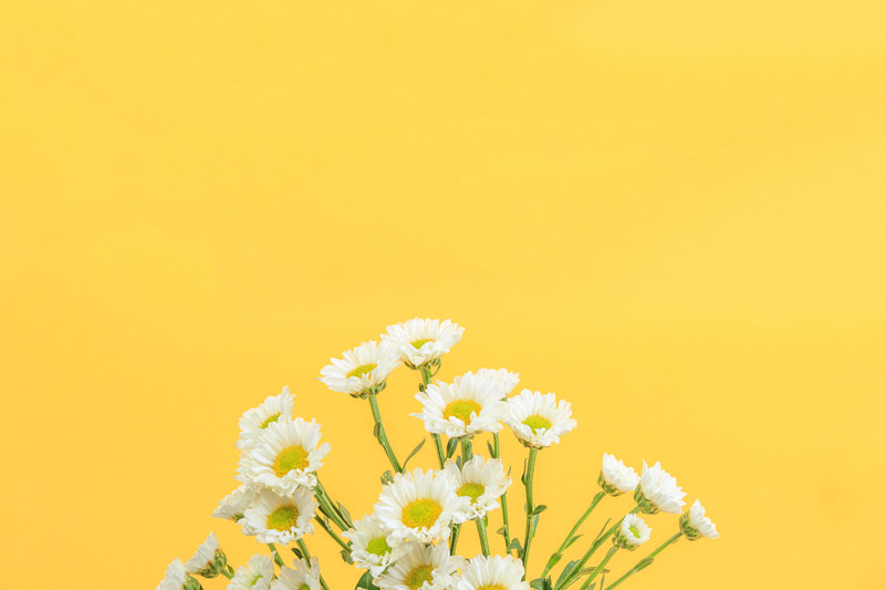 ​免费负面信息查询网站大全_舆情监测系统推荐