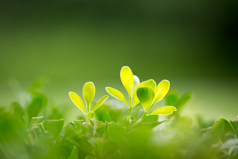 环境舆情监测🍀