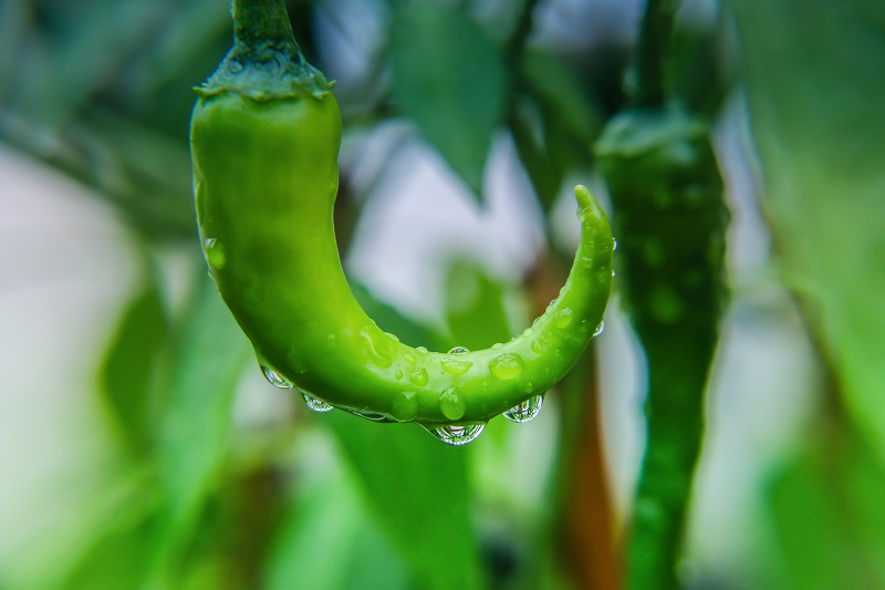 如何撰写网络舆情信息简报？网络舆情报告格式